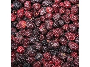 Blackberries