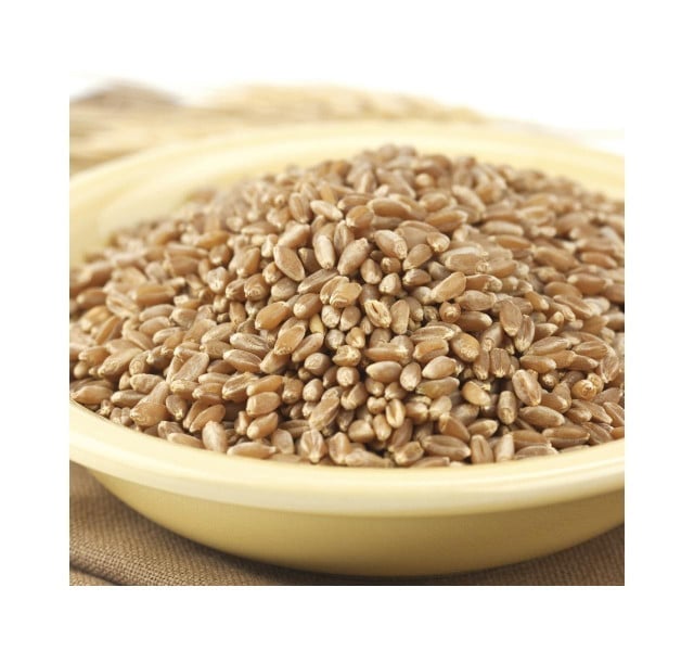 Bronze Chief Wheat Berries