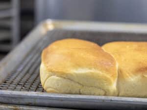 White Sandwich Rolls
